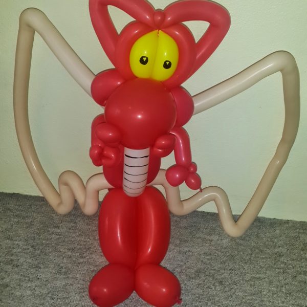 20150401_170505 20150401_170505