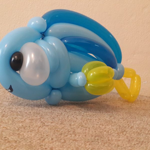 20160601_132958 20160601_132958