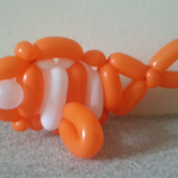 20160601_192924 20160601_192924