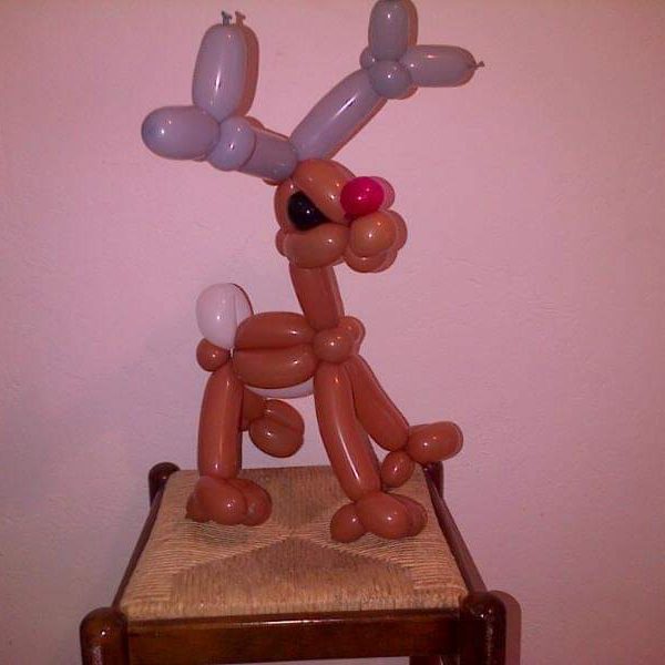 facebook_1608518350076_6746614949799504182 facebook_1608518350076_6746614949799504182