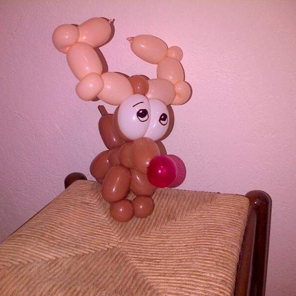 facebook_1608518470997_6746615456979914966 facebook_1608518470997_6746615456979914966